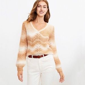 *NWT* Loft Spacedye V-Neck Sweater